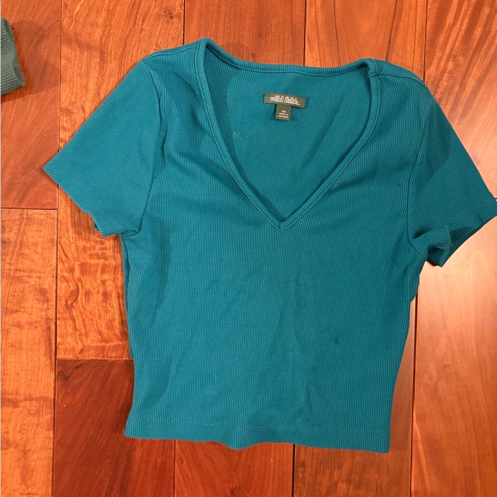 Wild Fable crop top